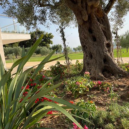 מטהמורפוסי Kalivas Beach House מראה חיצוני תמונה