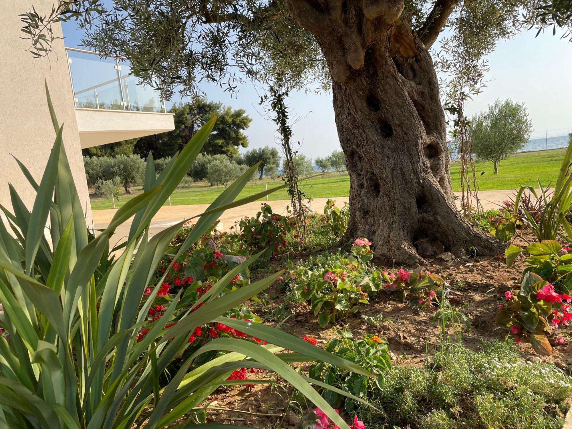 מטהמורפוסי Kalivas Beach House מראה חיצוני תמונה